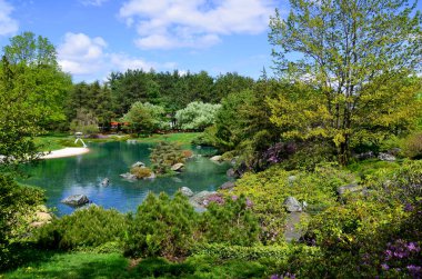 Bahar zamanı Japon bahçesi.
