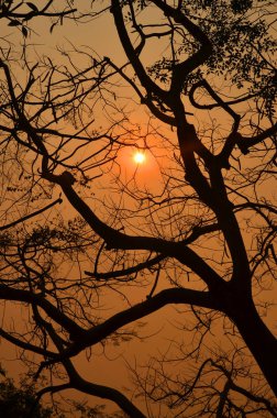 Luang Prabang 'da günbatımı, Laos