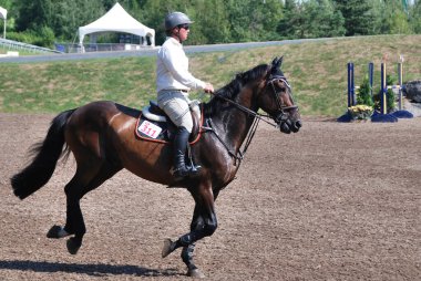 BROMONT, CANADA - 29 Temmuz 2011 'de Montreal Equestrian 1976 Olimpiyat Parkı' nda Ata binen bilinmeyen bir sürücü. 
