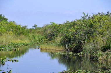 Everglades Ulusal Parkı, ABD 'nin Florida eyaletinde bulunan ve Everglades' in% 20 'sini koruyan ulusal bir parktır..