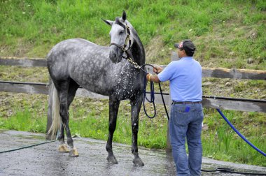 BROMONT, CANADA - 21 Temmuz 2012 'de Montreal Equestrian 1976 Olimpiyat Parkı' nda bilinmeyen bir binici.
