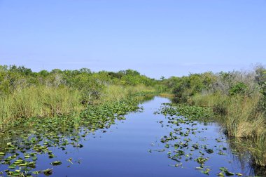 Everglades Ulusal Parkı, ABD 'nin Florida eyaletinde bulunan ve Everglades' in% 20 'sini koruyan ulusal bir parktır..