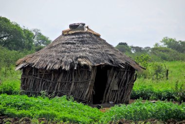Afrika köyündeki eski ahşap ev