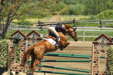 BROMONT, CANADA - 21 Temmuz 2012 'de Montreal Equestrian 1976 Olimpiyat Parkı' nda bilinmeyen bir binici.