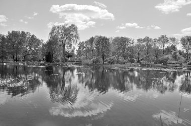Quebec, Kanada 'da ilkbaharda yansıyan güzel ağaçlar
