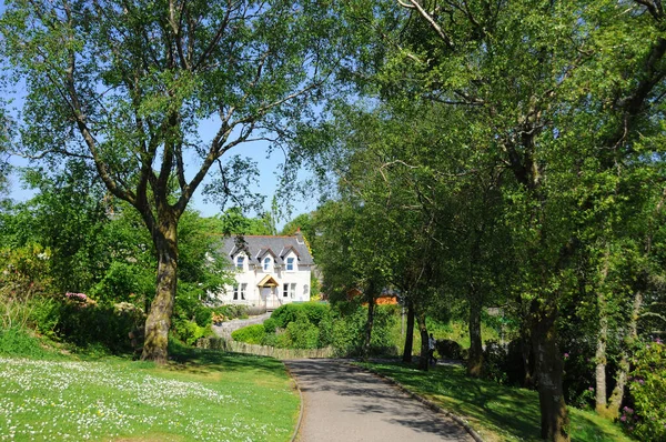 Maison Bout Allée Verte — Photo