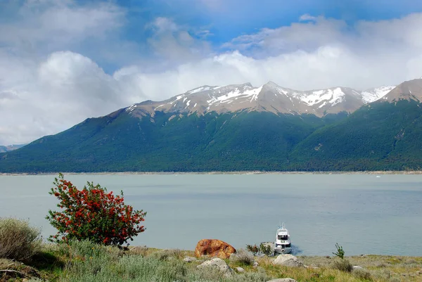 阿根廷蒂诺 Lago Argentino 是阿根廷圣克鲁斯巴塔哥尼亚省的一个湖泊 — 图库照片