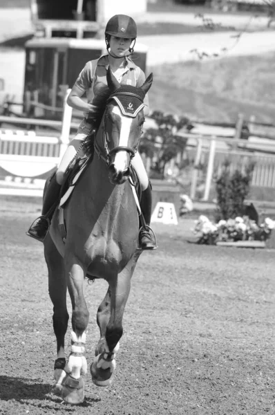 Bromont Canada Juli Onbekende Ruiter Een Paard 2012 International Bromont — Stockfoto