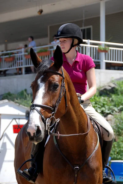 2011 Blmont Canada Jly Unknown Rider Horse 2011 International National — 스톡 사진