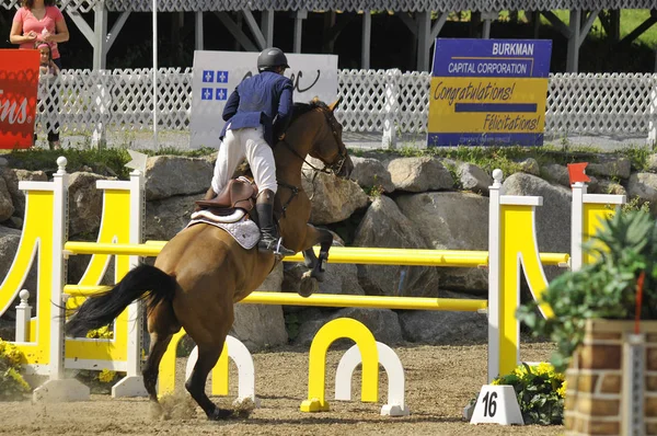 Bromont Kanada Juli Unbekannter Reiter Auf Einem Pferd Während Des — Stockfoto