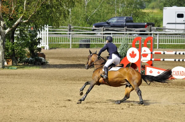 Bromont Canada Luglio Cavaliere Sconosciuto Cavallo Nel 2012 Bromont Internazionale — Foto Stock