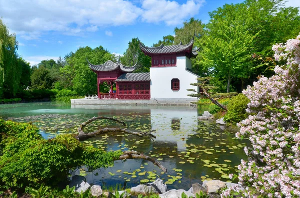 Montreal Canada 2019 Jardim Botânico Chinês Montreal Considerado Dos Jardins — Fotografia de Stock