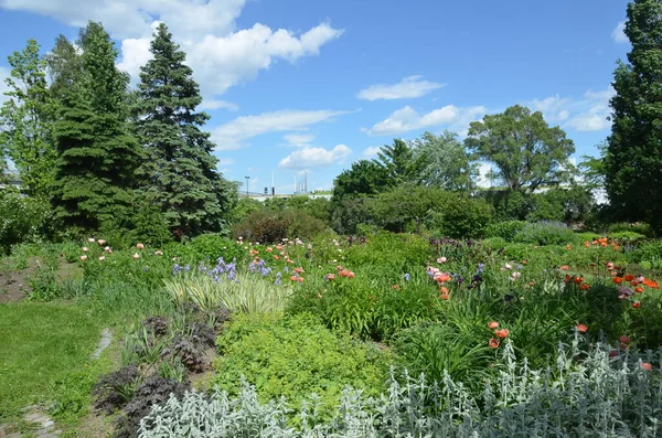아름다운 정원의 — 스톡 사진