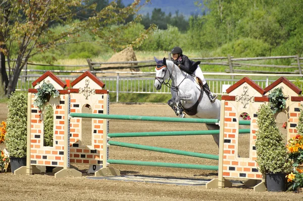 Bromont Canada Julho Cavaleiro Desconhecido Cavalo Durante 2012 Bromonte Internacional — Fotografia de Stock