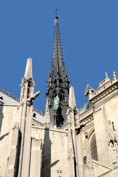 Detalhes Catedral Notre Dame Paris França — Fotografia de Stock