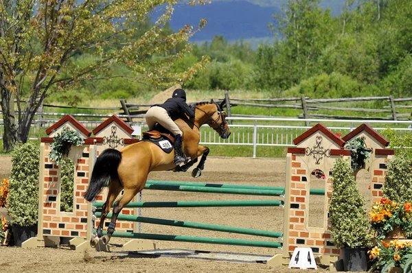 Bromont Canada Juli Okänd Ryttare Häst 2012 Internationellt Bromont Den — Stockfoto