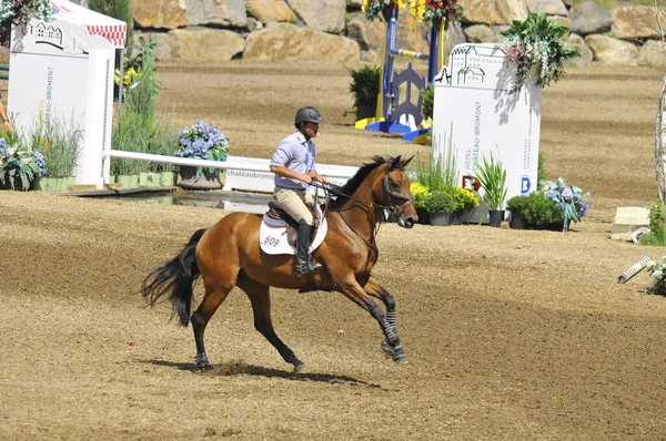 Bromont Canada July Невідомий Їздець Коні Протягом 2012 Року Інтернаційний — стокове фото