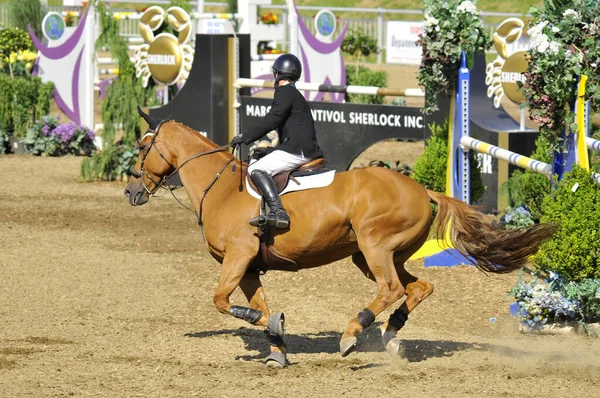 Bromont Canada July Unknown Rider Horse 2012 International Bromont July — Stock Photo, Image