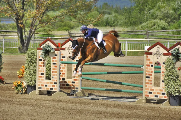 Bromont Canada Juillet Cavalier Inconnu Cheval 2012 Bromont International Juillet — Photo