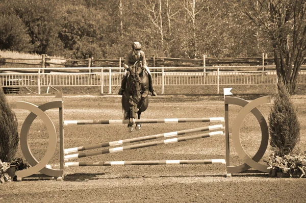 Bromont Kanada Juli Unbekannter Reiter Auf Einem Pferd Während Des — Stockfoto