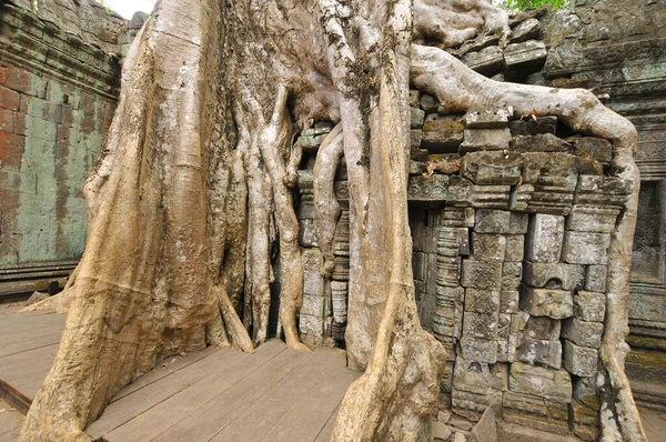 Prohm Det Moderna Namnet Ett Tempel Angkor Siem Reap Province — Stockfoto