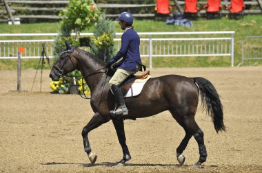 BROMONT, CANADA - 21 Temmuz 2012 'de Montreal Equestrian 1976 Olimpiyat Parkı' nda bilinmeyen bir binici.