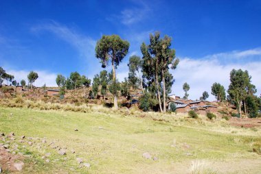 Peru 'daki Titicaca Gölü