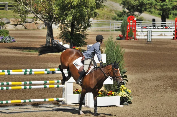 Bromont Canada July Unknown Ride Horse 2012 International Bromont July — 图库照片