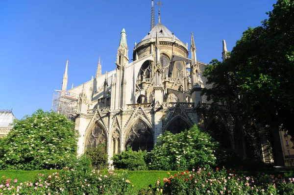 フランス ノートルダム大聖堂 — ストック写真