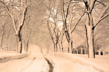 Montreal, Quebec, Kanada 'da kış manzarası