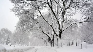 MONTREAL CANADA - 02: 15 2017: kar fırtınası sırasında Notre Dame Des Neiges kilise mezarlığı diğer inançlara açık bir Katolik mezarlığıdır..