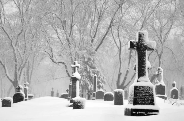 Kanada Montrealna 2017 Podczas Burzy Śnieżnej Cmentarz Notre Dame Des — Zdjęcie stockowe