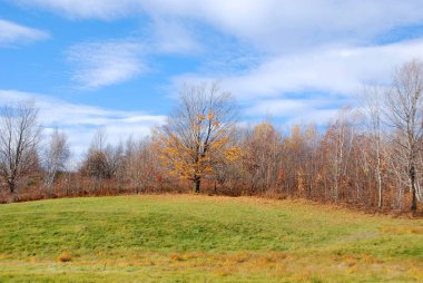 Nisan 'ın sonunda bahar manzarası.
