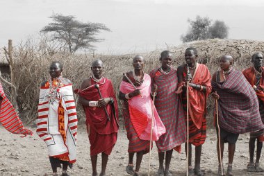 Masai kabilesinden kimliği belirsiz Afrikalı bir grup, 13 Ekim 2011 'de Kenya' nın Masai Mara kentinde düzenlenen geleneksel atlama dansını göstermeye hazırlanıyor. Onlar göçebe ve küçük köylerde yaşıyorlar..