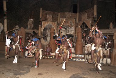 Tanımlanamayan Zulu dansçıları, 27 Kasım 2010 'da Shakaland Zulu Kültür Köyü, KwaZulu-Natal, Güney Afrika' da yapılan Zulu gösterisinde geleneksel Zulu kıyafetleri giyerler. 