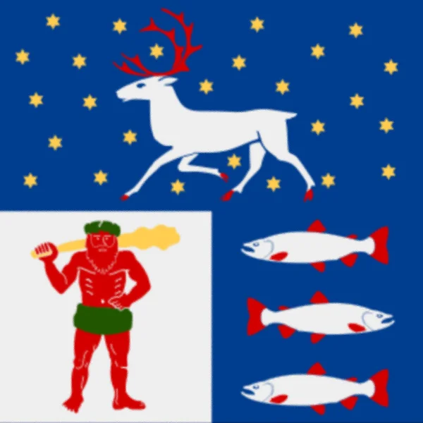 Die Flagge Von Vasterbotten Country Schweden — Stockfoto