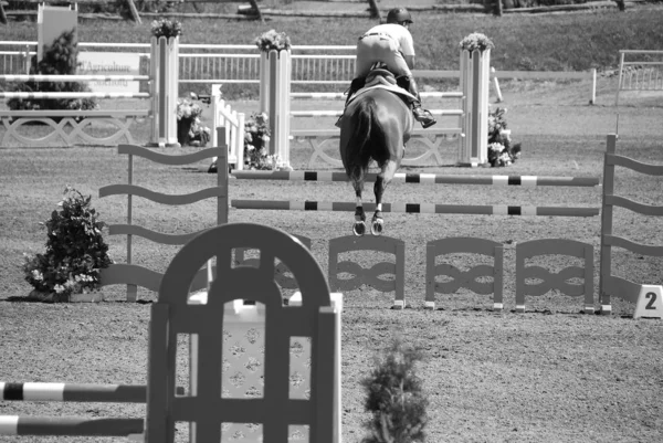 Bromont Canada Luglio Cavaliere Sconosciuto Cavallo Durante 2011 Bromont Internazionale — Foto Stock