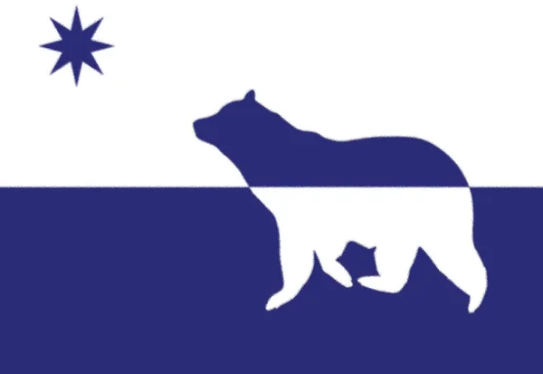 Bandeira Arctica Textura Fundo — Fotografia de Stock