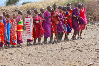 Masai kabilesinden kimliği belirsiz Afrikalı bir grup, 13 Ekim 2011 'de Kenya' nın Masai Mara kentinde düzenlenen geleneksel atlama dansını göstermeye hazırlanıyor. Onlar göçebe ve küçük köylerde yaşıyorlar..