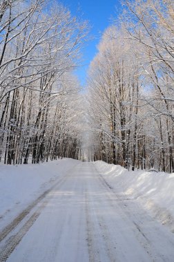 Kış manzarası, Quebec, Kanada 