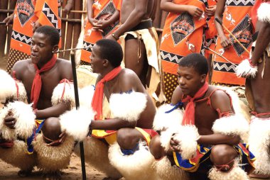 MANZINI, SWAZILAND - 25 Kasım 2010 Manzini, Svaziland 'daki bir Swazi gösterisinde kimliği belirsiz genç erkekler geleneksel giysiler giyer ve dans eder.