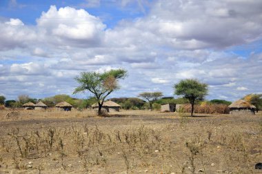 Tanzanya 'daki Masai köyü: Tanzanya ve Kenya' daki birçok Masai kabilesi, kültürlerini, geleneklerini ve yaşam tarzlarını tecrübe etmek için köylerini ziyaret ediyor..