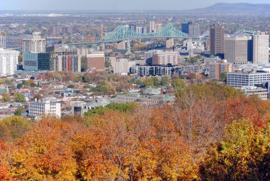 Montreal 'in botanik bahçesindeki sonbahar manzarası, Quebec, Kanada