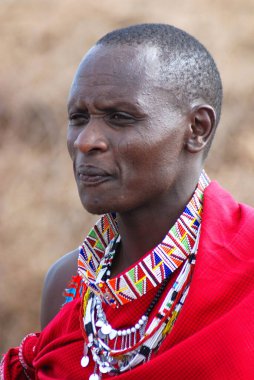 AMBOSELI, KENYA - 13 Ekim 2011 'de Masai Mara, Kenya' da genç bir Maasai erkeğinin portresi çekildi. Masai (Masai), Kenya ve Tanzanya 'nın kuzeyinde bulunan yarı göçebe bir etnik gruptur.