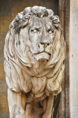 Münih, Almanya 'da Feldherrnhalle (Mareşal Salonu) önündeki aslan heykeli