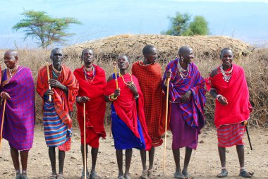 Masai kabilesinden kimliği belirsiz Afrikalı bir grup, 13 Ekim 2011 'de Kenya' nın Masai Mara kentinde düzenlenen geleneksel atlama dansını göstermeye hazırlanıyor. Onlar göçebe ve küçük köylerde yaşıyorlar..