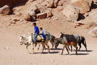 PETRA, JORDAN - 25 Kasım 2009 Petra, Ürdün 'de kimliği belirsiz çocuklar eşeğe binmek için turistleri bekliyor. Yolculuk 20JD tuttu. Petra, Nabataean krallığının etkileyici başkentiydi..