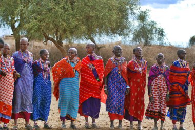 Masai kabilesinden kimliği belirsiz Afrikalı bir grup, 13 Ekim 2011 'de Kenya' nın Masai Mara kentinde düzenlenen geleneksel atlama dansını göstermeye hazırlanıyor. Onlar göçebe ve küçük köylerde yaşıyorlar..