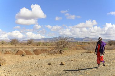 NGOROGORO, TANZANIA - 17 Ekim: Masai savaşçısı 17 Ekim Ngorogoro, Tanzanya ovasında yürüyor. Masailer Doğu Afrika 'da Hint Okyanusu' nun yanında Nilotik bir gruptur.. 