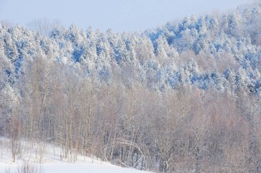 Doğu kasabası kış manzarası, Quebec, Kanada